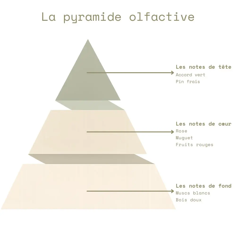 Pyramide olfactive - Potion d'Amour.webp