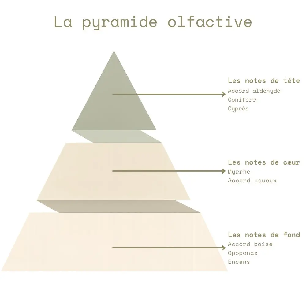 Pyramide olfactive - Balade en Forêt.webp