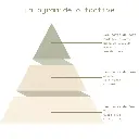 Pyramide olfactive - Sirop d'Érable.webp