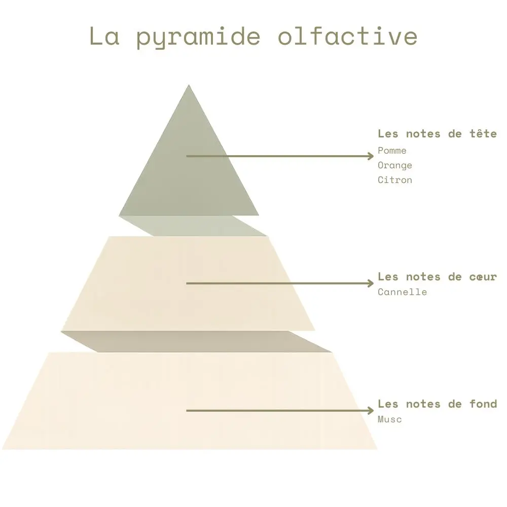 Pyramide olfactive - Pomme Cannelle.webp