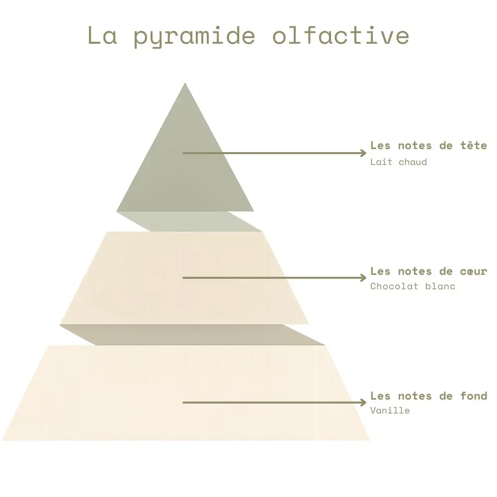 Pyramide olfactive - Choco Noisettes.webp