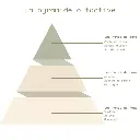 Pyramide olfactive - Citron Meringué.webp