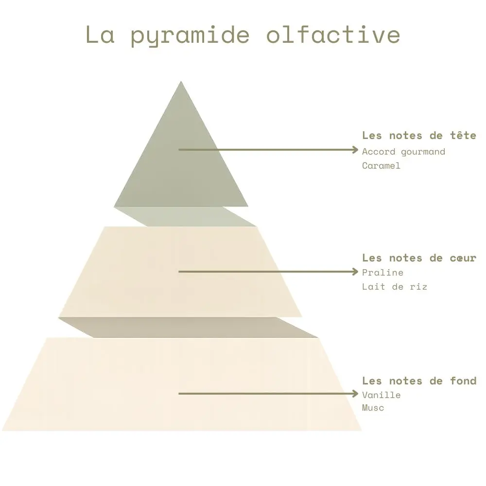 Pyramide olfactive - Crème Brûlée.webp