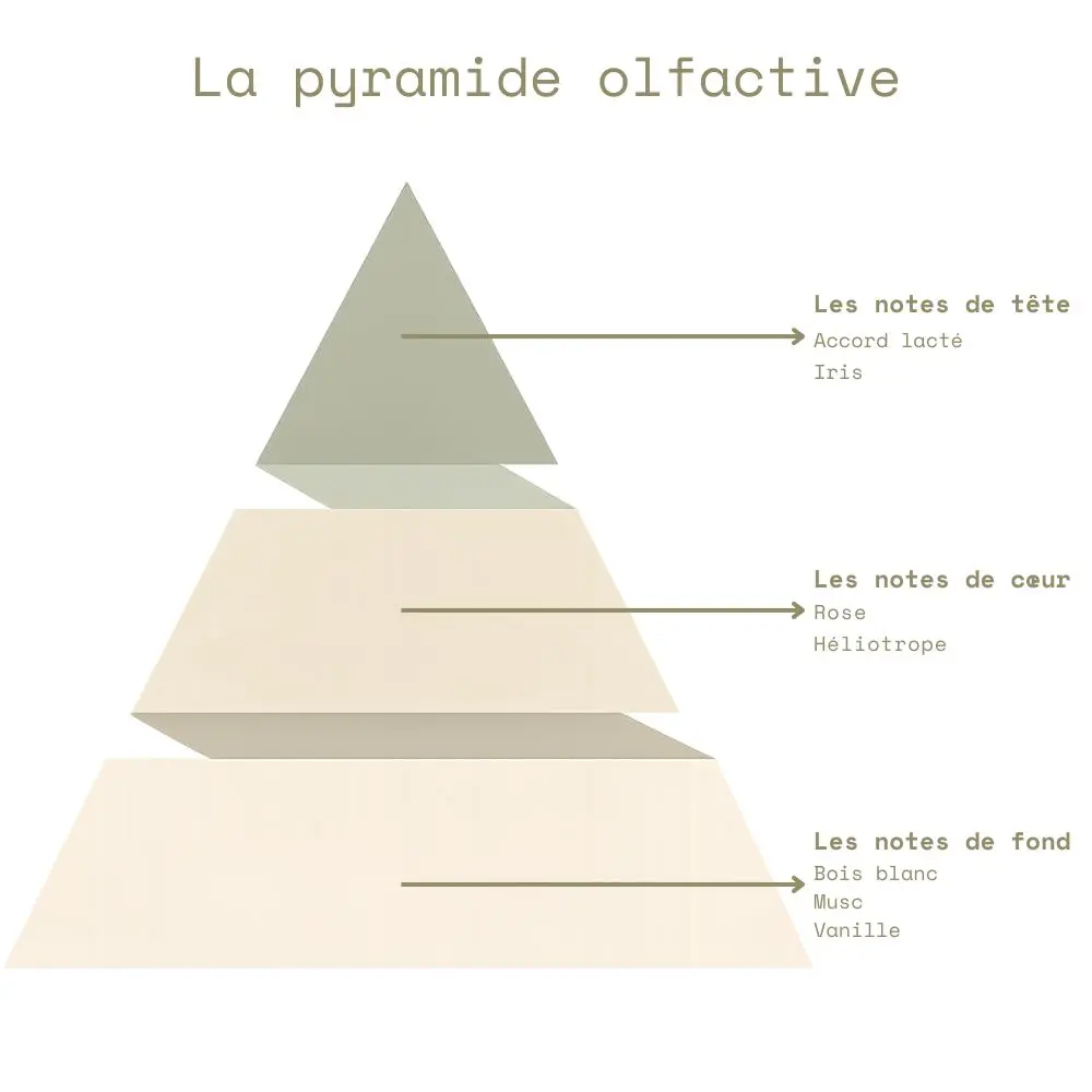 Pyramide olfactive - Fleur de Coton.webp