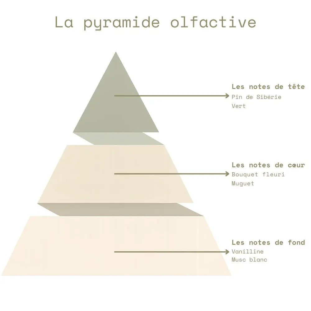Pyramide olfactive - Linge Propre.webp