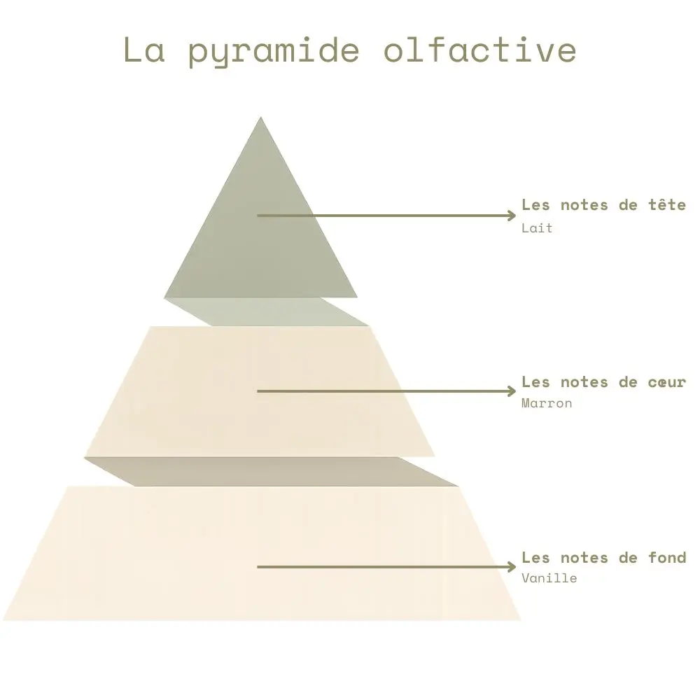 Pyramide olfactive - Marron Chaud.webp