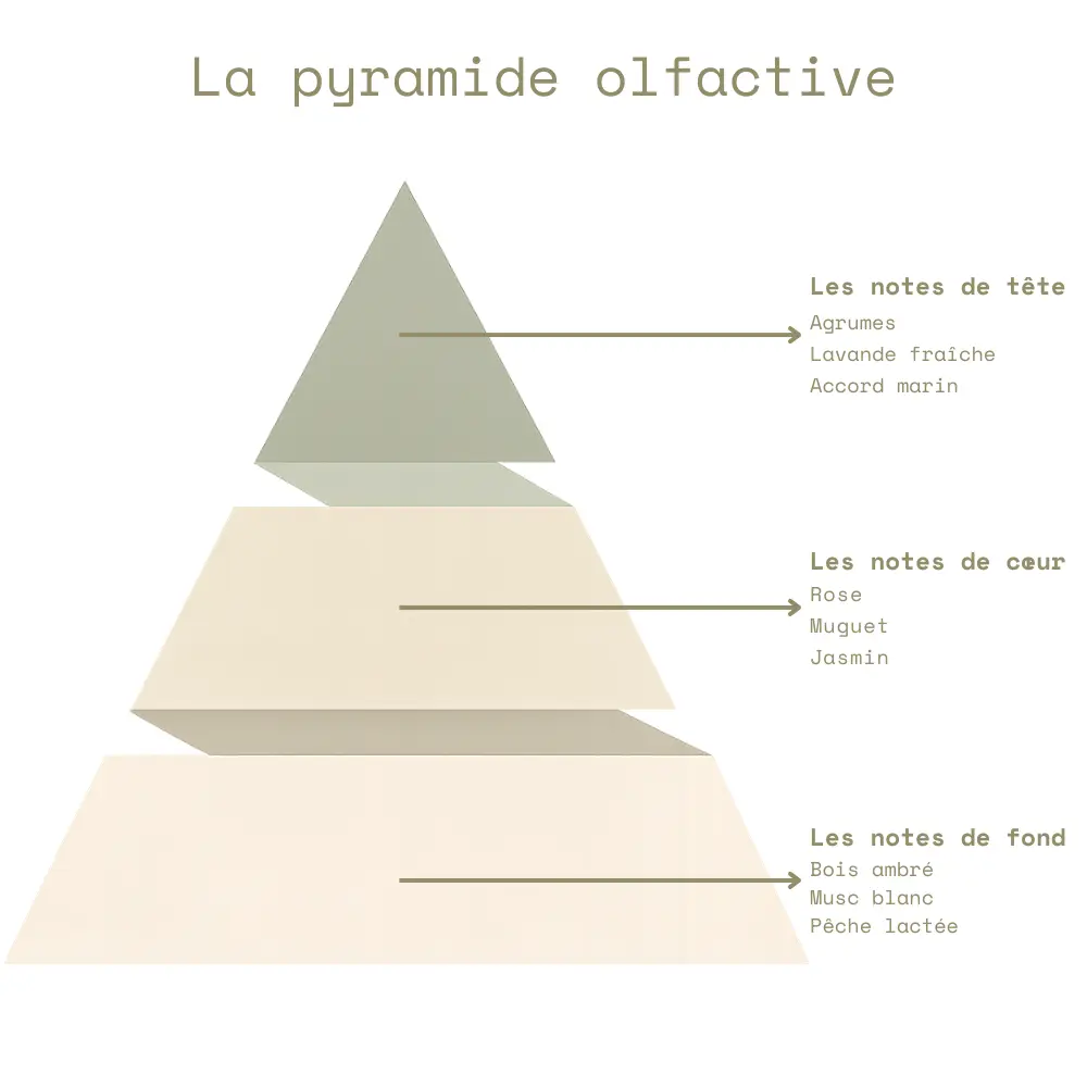La pyramide olfactive - Fleur de Cerisier.webp