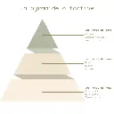 La pyramide olfactive - Fleur de Cerisier.webp