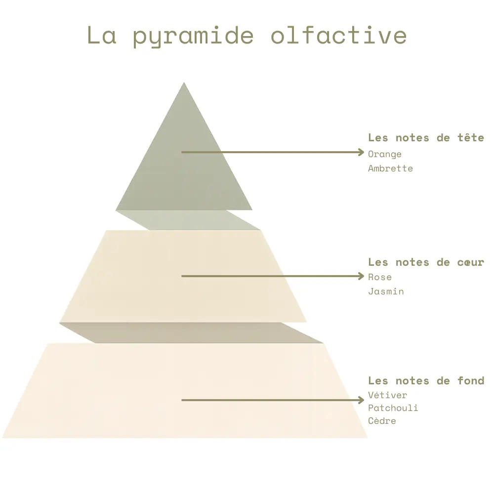 La pyramide olfactive - Pivoine.webp