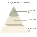 La pyramide olfactive - Pivoine.webp