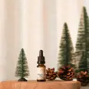 Fragrance - Balade en Forêt