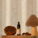 Fragrance - Gâteau aux Noix