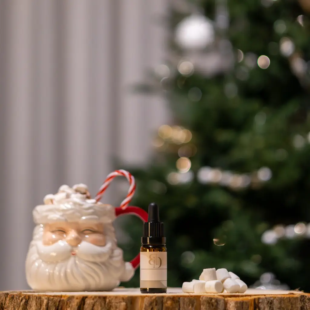 Fragrance - Chocolat Chaud de Noël