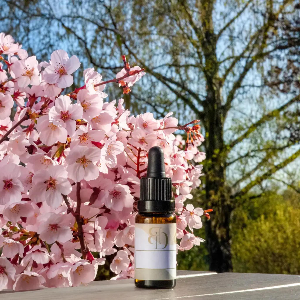 Fragrance - Fleur de Cerisier