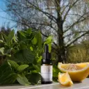 Fragrance - Verveine Citronnée