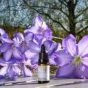 Fragrance - Patchouli