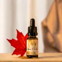 Fragrance - Sirop d'Érable