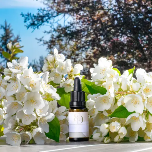 Fragrance - Jasmin