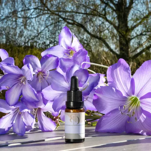 Fragrance - Patchouli